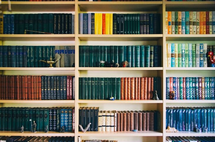 academic-book-books-bookshelf